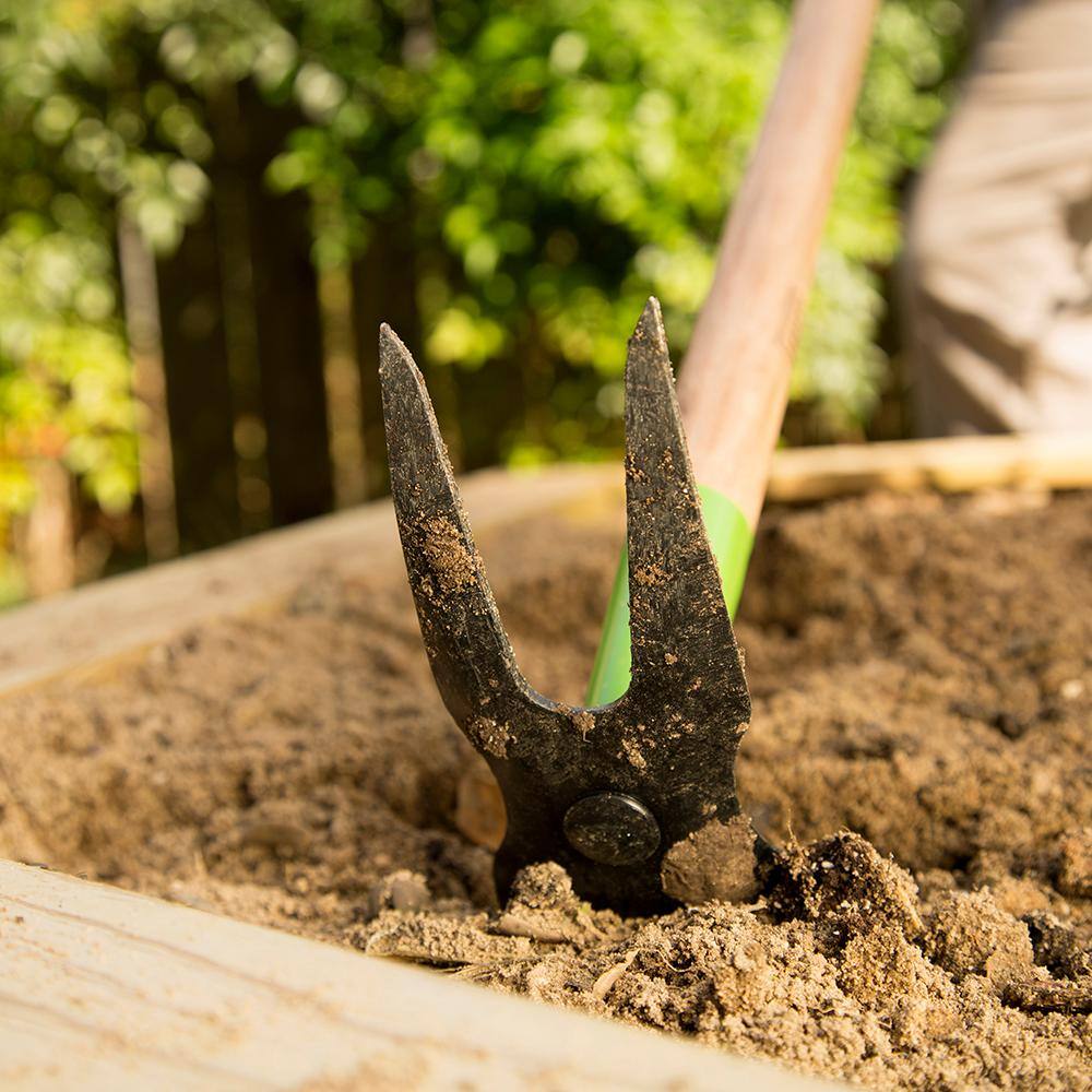 Ames 2825500 2-Prong Weeder Hoe1