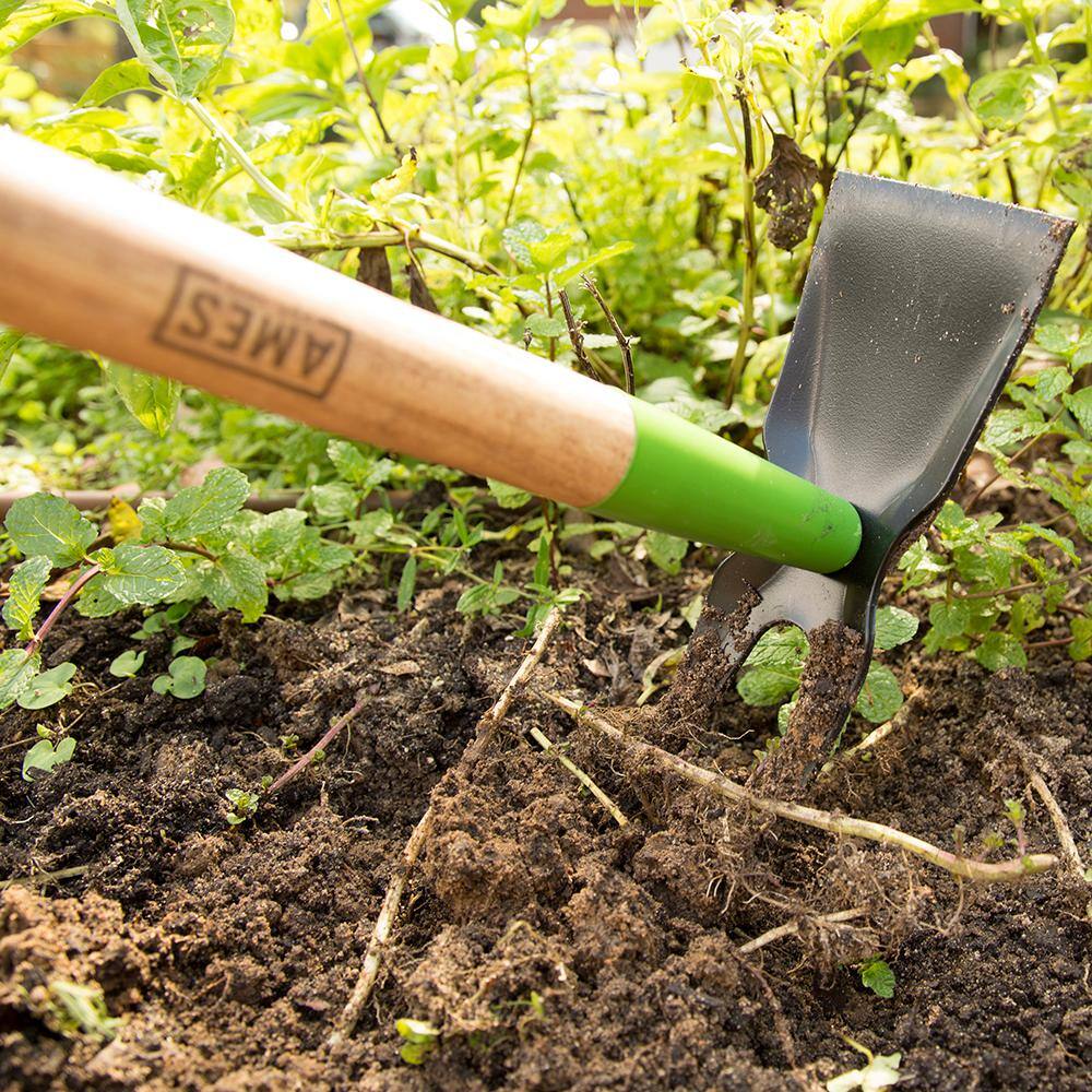 Ames 2825500 2-Prong Weeder Hoe3
