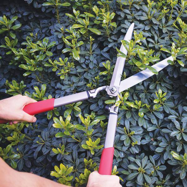 Corona HS15150CCH ClassicCUT 13.5 in. Forged Steel Blade with Comfortable Steel Handles Hedge Shears7