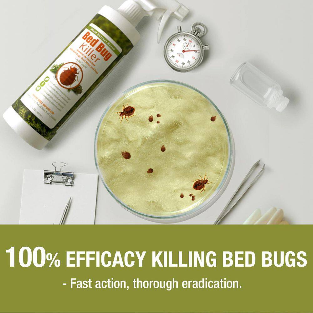 ECOVENGER EB1RM5001G Bed Bug Killer by EcoRaider 1GL W trigger −100% Efficacy Kills All Stages Eggs, Plant-Based, Child Pet-Safe3