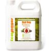 ECOVENGER EB1RM5001GHD Bed Bug Killer by EcoRaider 1GL−100% Efficacy Kills All Stages/Eggs for 2 Weeks, Plant-Based, Child/Pet-Safe