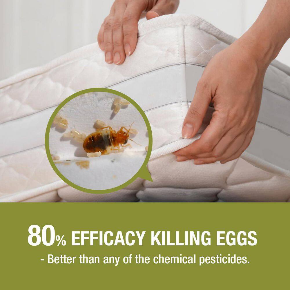 ECOVENGER EB1RM5001GHD Bed Bug Killer by EcoRaider 1GL−100% Efficacy Kills All Stages Eggs for 2 Weeks, Plant-Based, Child Pet-Safe2