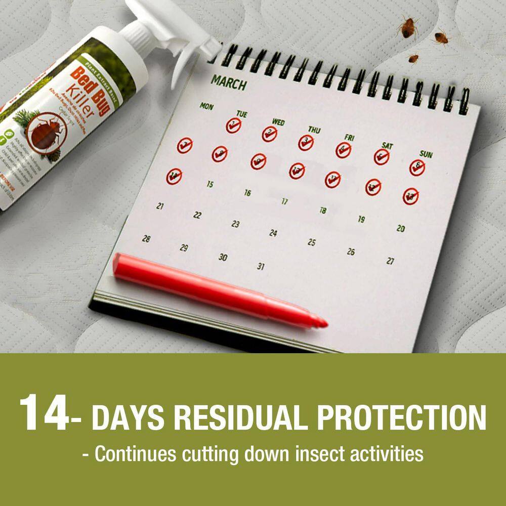 ECOVENGER EB1RM5001GHD Bed Bug Killer by EcoRaider 1GL−100% Efficacy Kills All Stages Eggs for 2 Weeks, Plant-Based, Child Pet-Safe4