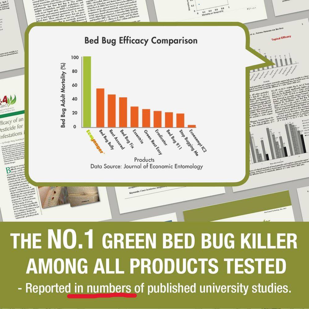 ECOVENGER EB1RM5001GHD Bed Bug Killer by EcoRaider 1GL−100% Efficacy Kills All Stages Eggs for 2 Weeks, Plant-Based, Child Pet-Safe7