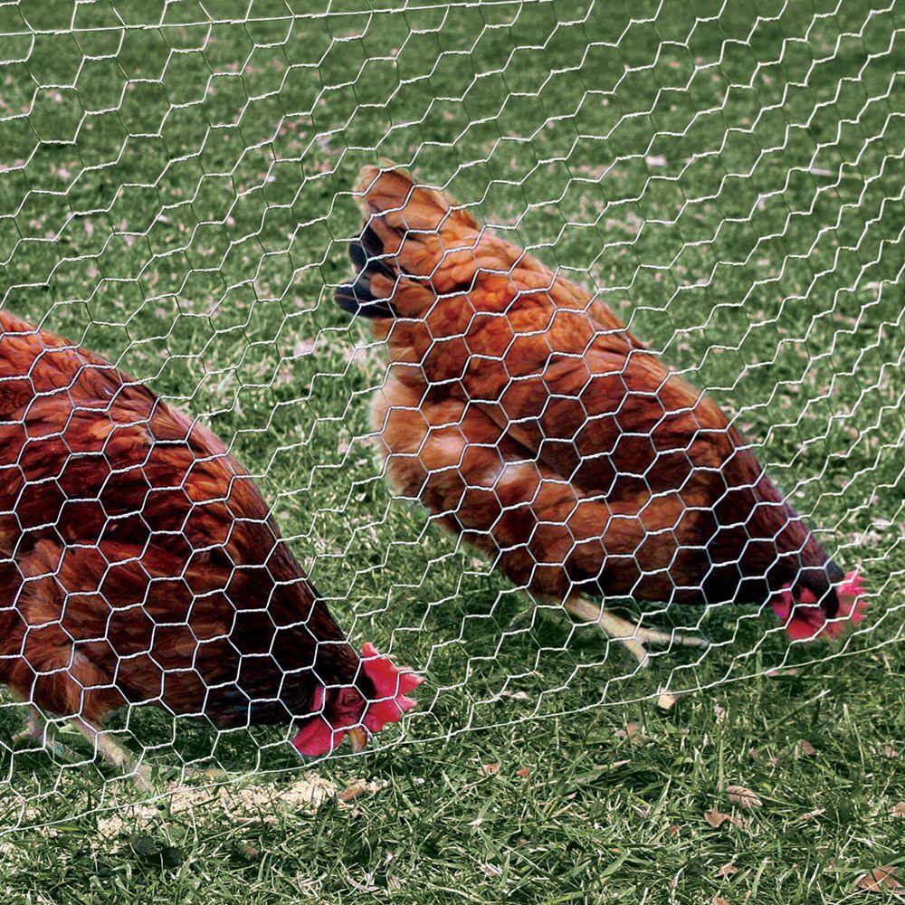Everbilt 308432EB 1 in. Mesh x 4 ft. x 150 ft. 20-Gauge Galvanized Steel Poultry Netting4