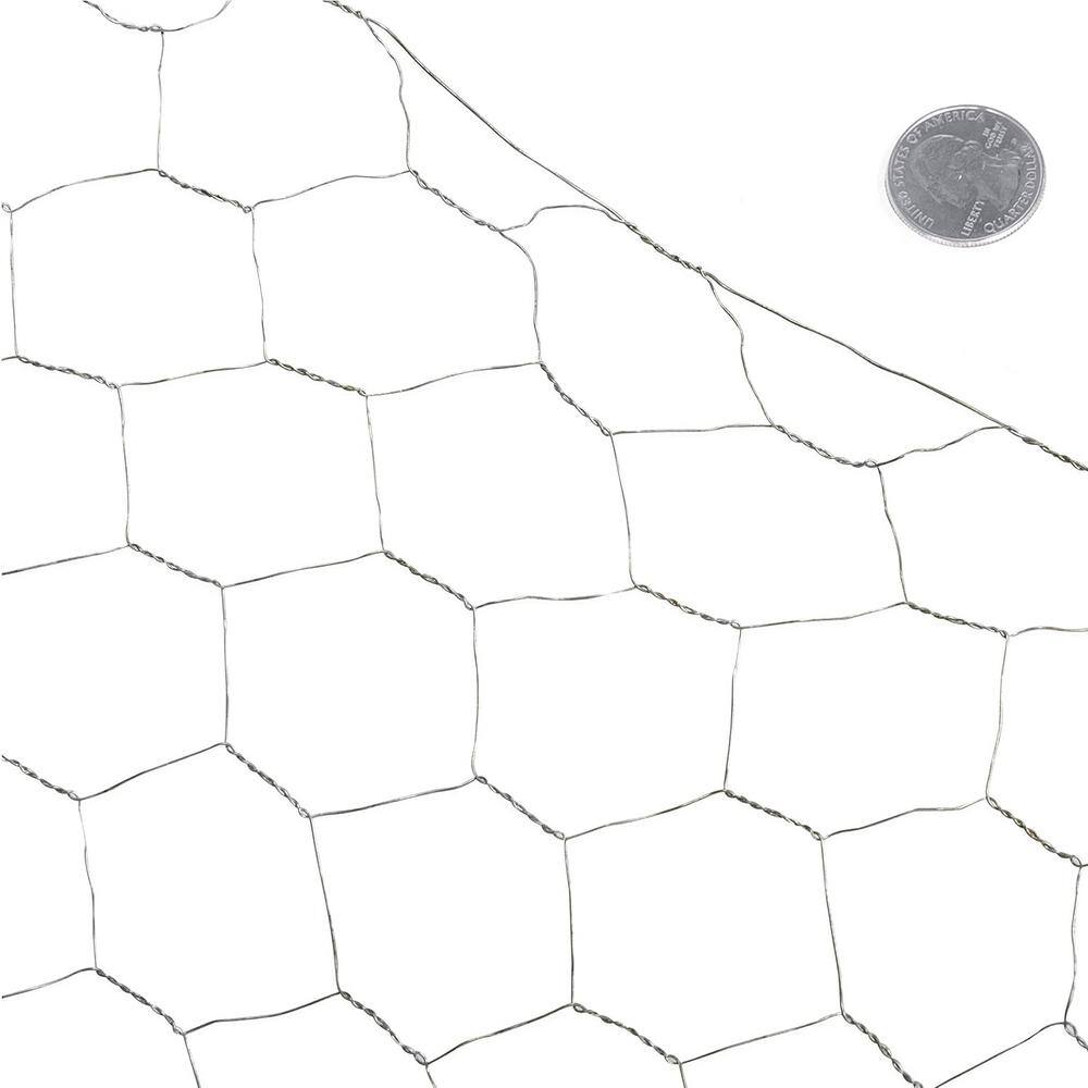 Fencer Wire NB20-5X150M2 5 ft. x 150 ft. 20-Gauge Poultry Netting with 2 in. Mesh2