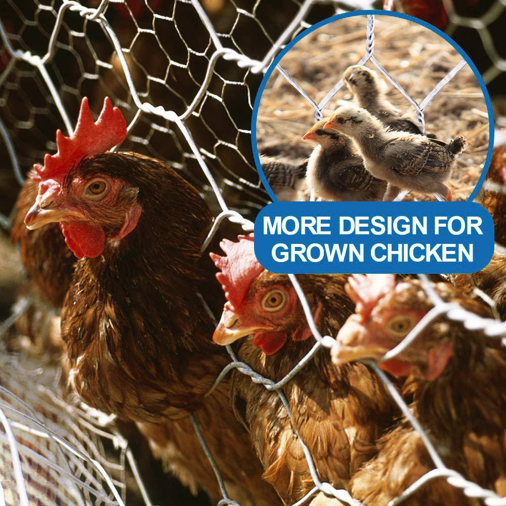 Fencer Wire NB20-5X150M2 5 ft. x 150 ft. 20-Gauge Poultry Netting with 2 in. Mesh7