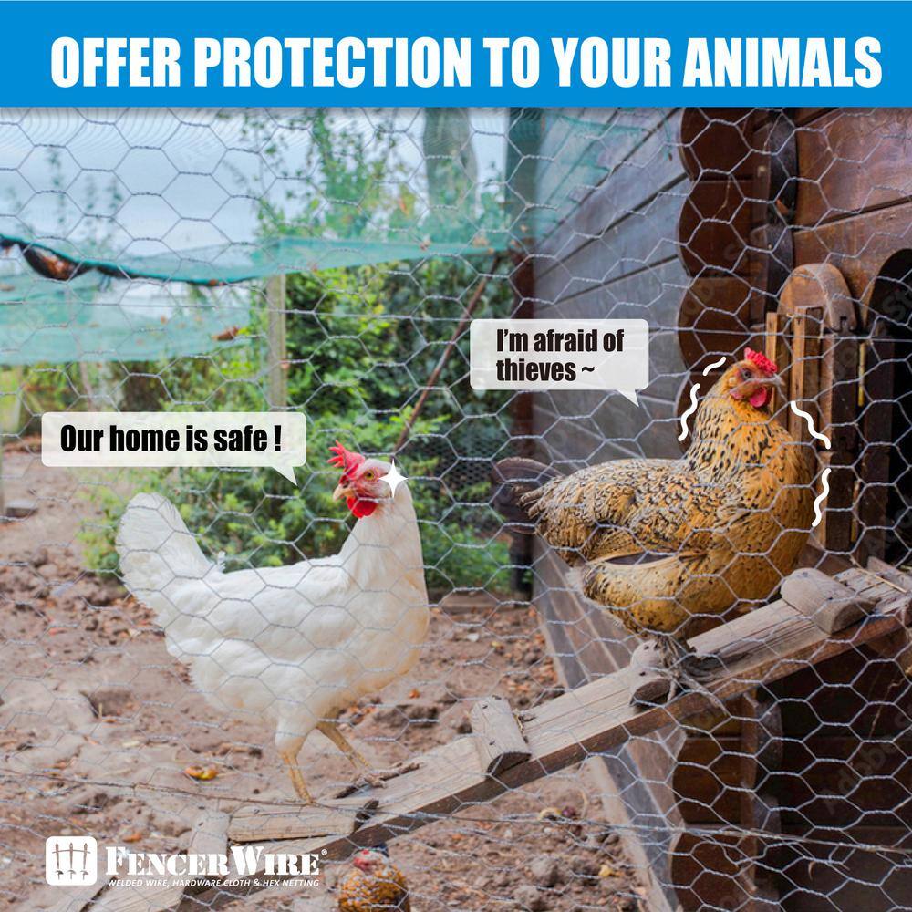 Fencer Wire NB20-6X50M1 6 ft. x 50 ft. 20-Gauge Poultry Netting with 1 in. Mesh4