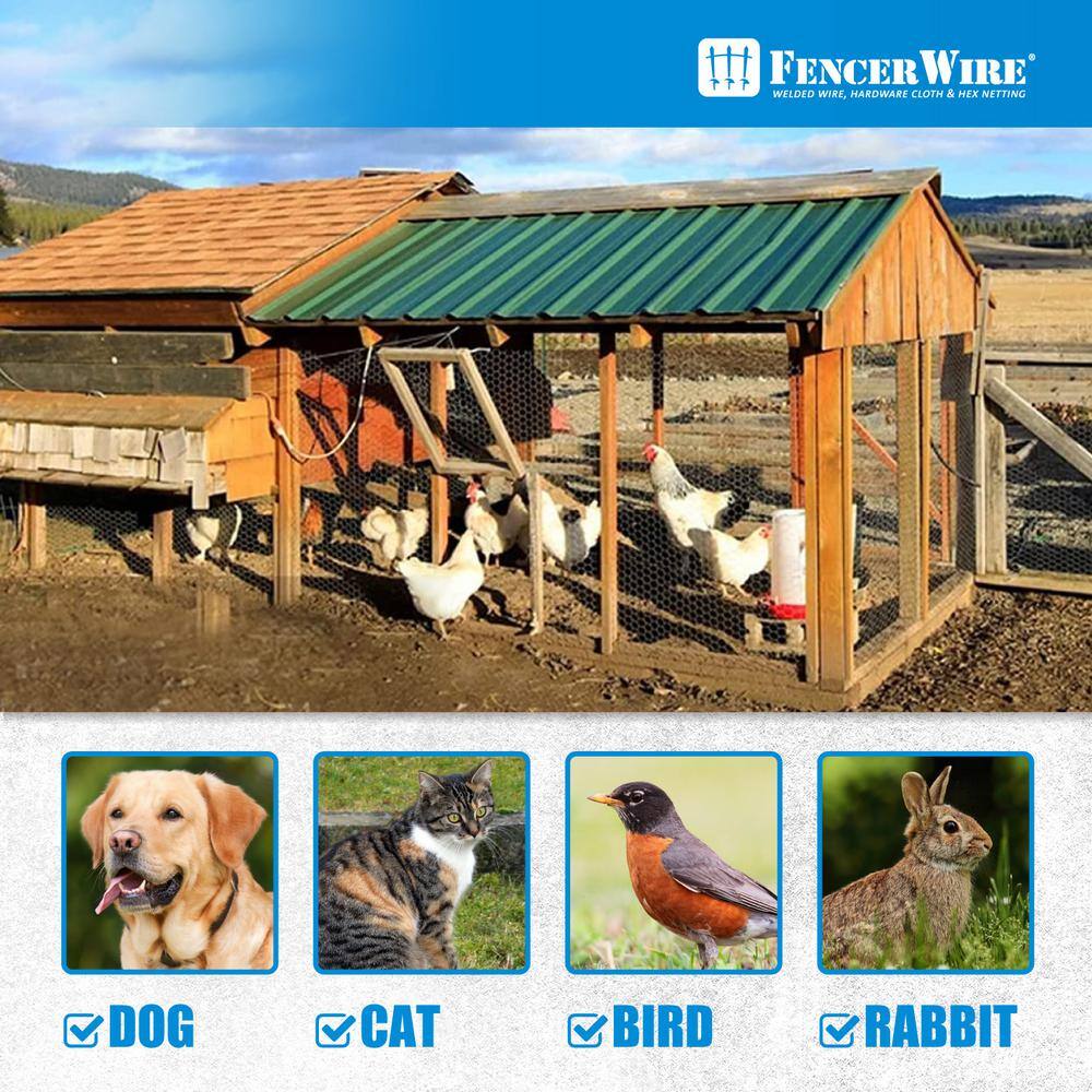 Fencer Wire NB20-6X50M1 6 ft. x 50 ft. 20-Gauge Poultry Netting with 1 in. Mesh6