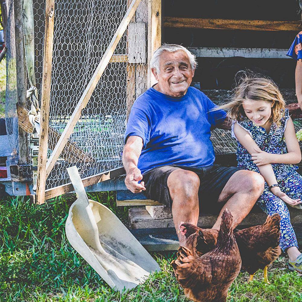 Fencer Wire NB20-6X50M1 6 ft. x 50 ft. 20-Gauge Poultry Netting with 1 in. Mesh9