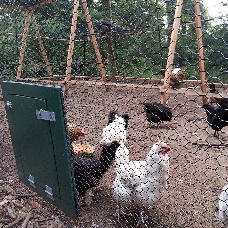 Fencer Wire NV20-B5X150M1 5 ft. x 150 ft. 20-Gauge Black PVC Coated Poultry Netting with 1 in. Mesh6
