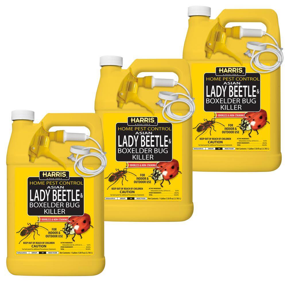 Harris 3HBXA-128 1 Gal. Asian Lady Beetle and Box Elder Bug Killer (3-Pack) Harris 3HBXA-128 1 Gal. Asian Lady Beetle and Box Elder Bug Killer (3-Pack)