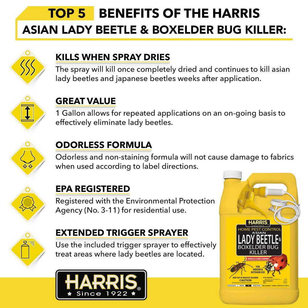 Harris 3HBXA-128 1 Gal. Asian Lady Beetle and Box Elder Bug Killer (3-Pack)`