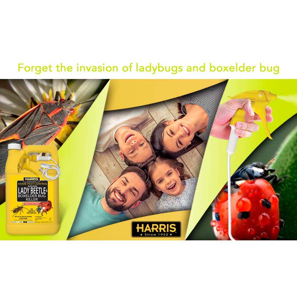 Harris 3HBXA-128 1 Gal. Asian Lady Beetle and Box Elder Bug Killer (3-Pack)1