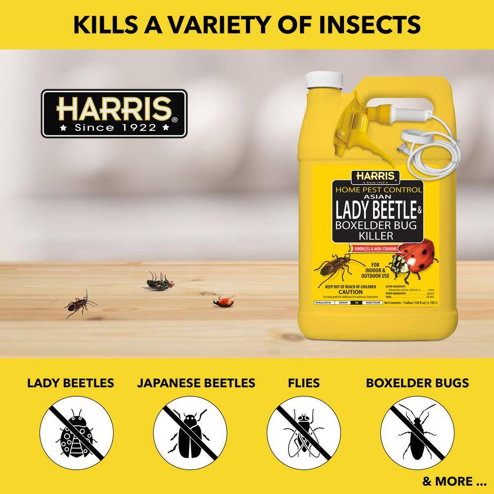Harris 3HBXA-128 1 Gal. Asian Lady Beetle and Box Elder Bug Killer (3-Pack)4