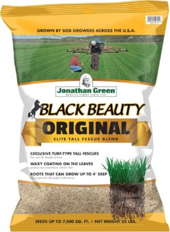 Jonathan Green 10315 Black Beauty Grass Seed Mix, 25-Pound