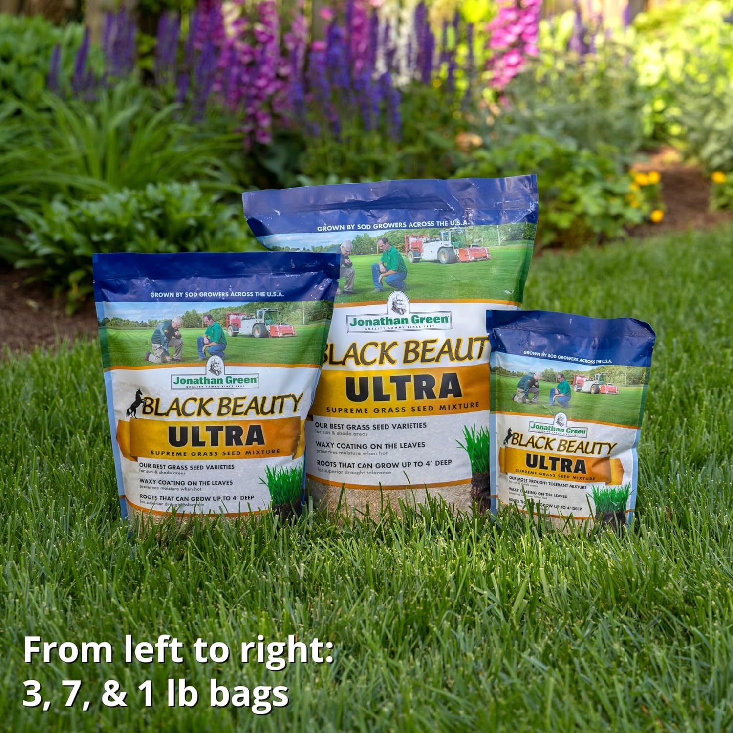 Jonathan Green (10322) Black Beauty Ultra Grass Seed - Cool Season Lawn Seed (7 lb)13