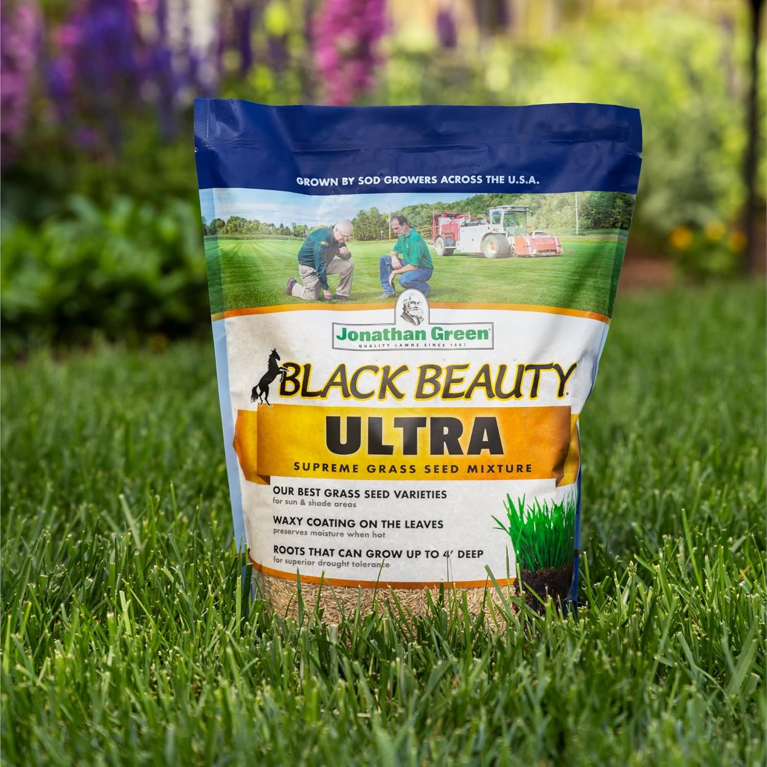 Jonathan Green (10322) Black Beauty Ultra Grass Seed - Cool Season Lawn Seed (7 lb)8