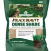 Jonathan Green (10610) Black Beauty Dense Shade Grass Seed - Cool Season Lawn Seed (25 lb)