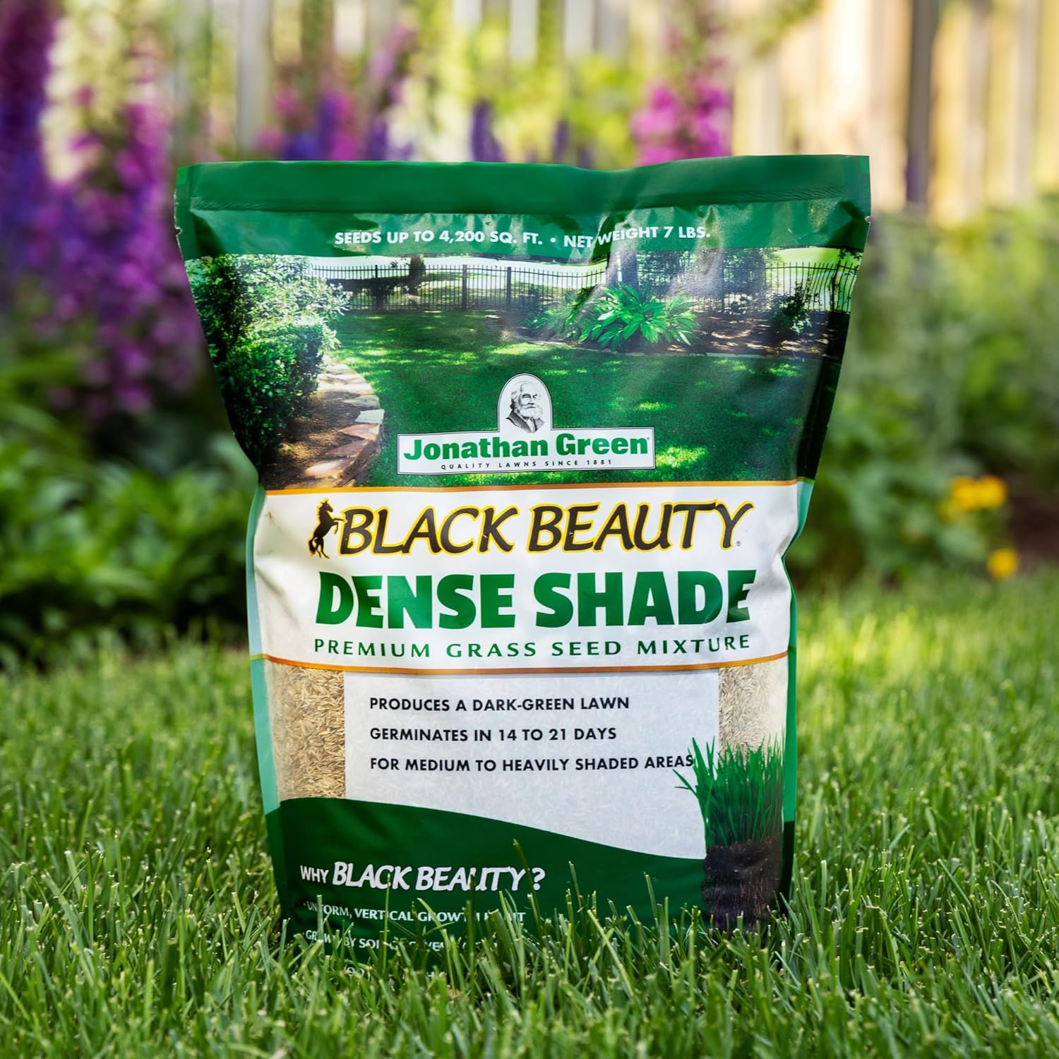 Jonathan Green (10610) Black Beauty Dense Shade Grass Seed - Cool Season Lawn Seed (25 lb)3