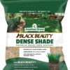 Jonathan Green (10620) Black Beauty Dense Shade Grass Seed - Cool Season Lawn Seed (7 lb)