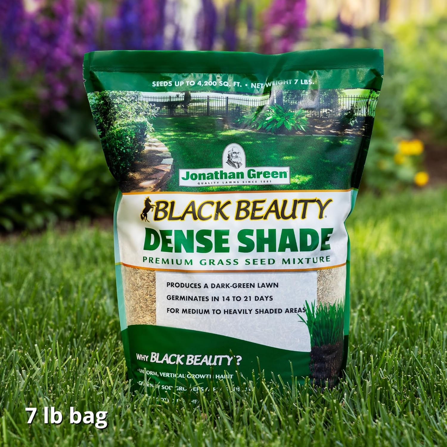 Jonathan Green (10620) Black Beauty Dense Shade Grass Seed - Cool Season Lawn Seed (7 lb)4