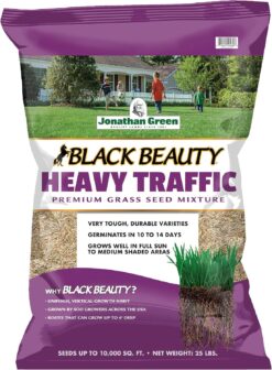 Jonathan Green (10980) Black Beauty Heavy Traffic Grass Seed - Cool Season Lawn Seed (25 lb)