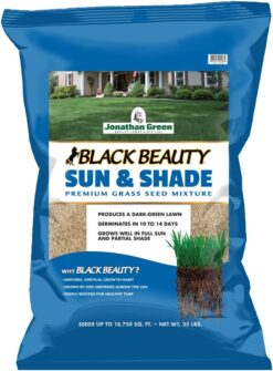 Jonathan Green (12006) Black Beauty Sun & Shade Grass Seed - Cool Season Lawn Seed (25 lb)