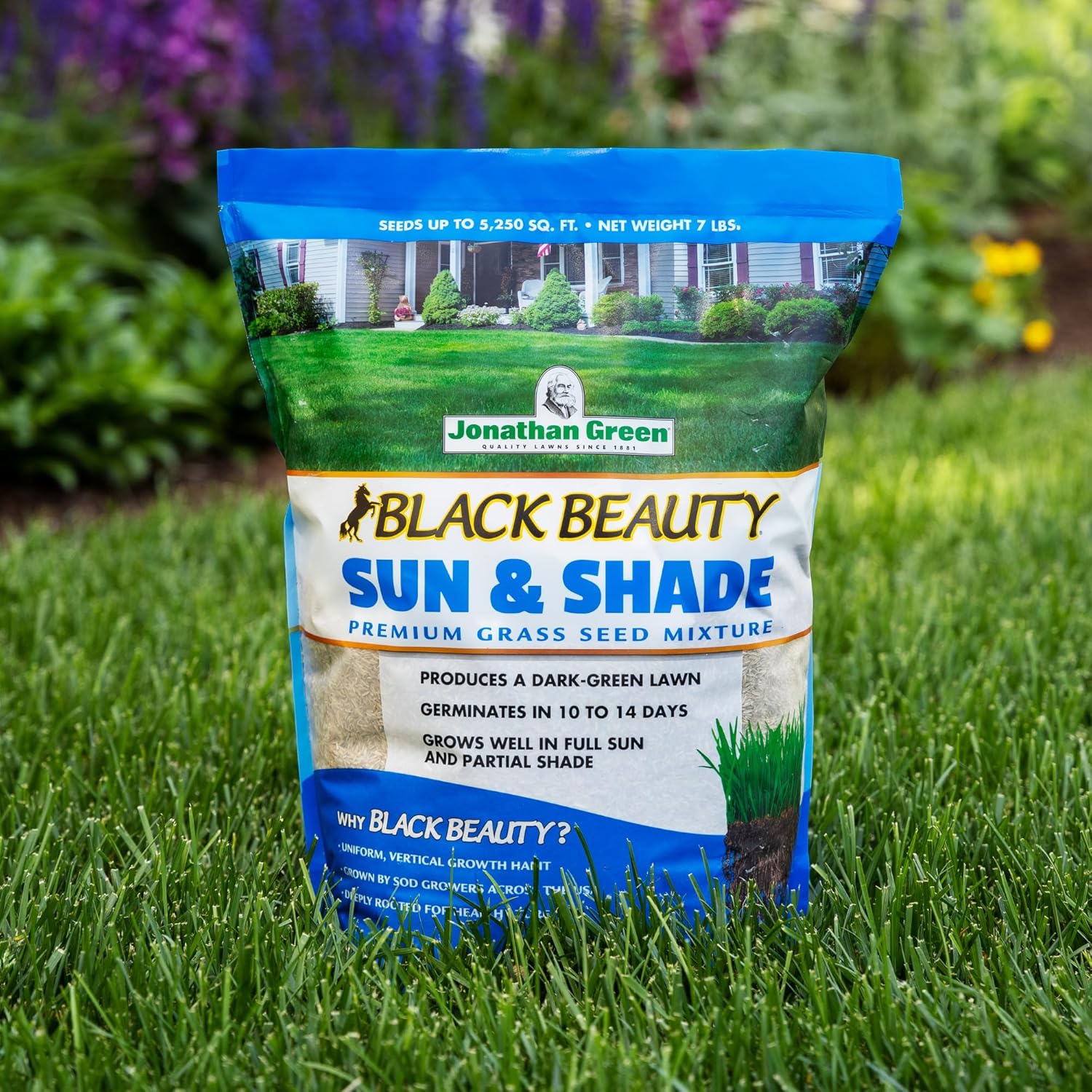 Jonathan Green (12007) Black Beauty Sun & Shade Grass Seed - Cool Season Lawn Seed, 50 lb3