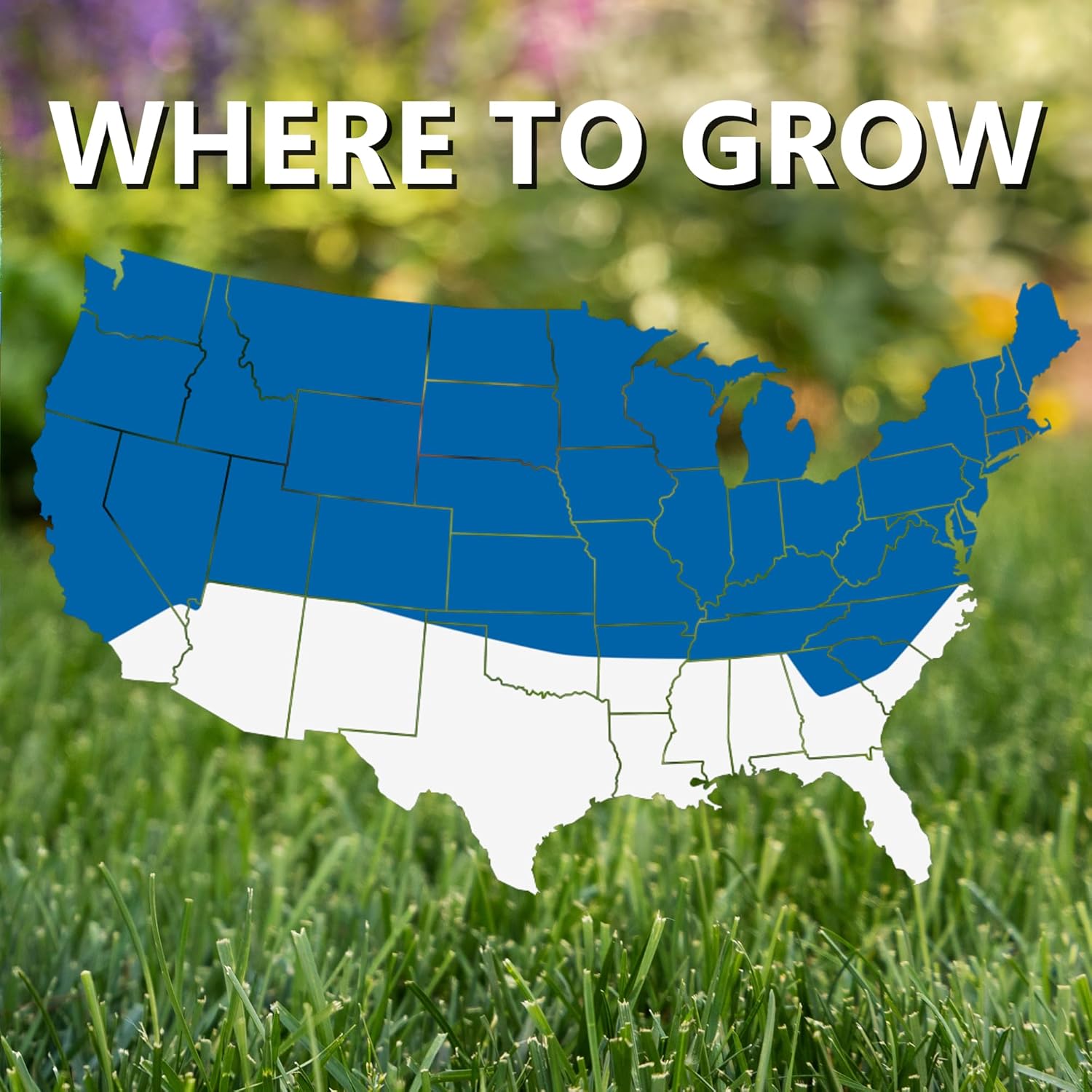 Jonathan Green (12007) Black Beauty Sun & Shade Grass Seed - Cool Season Lawn Seed, 50 lb4