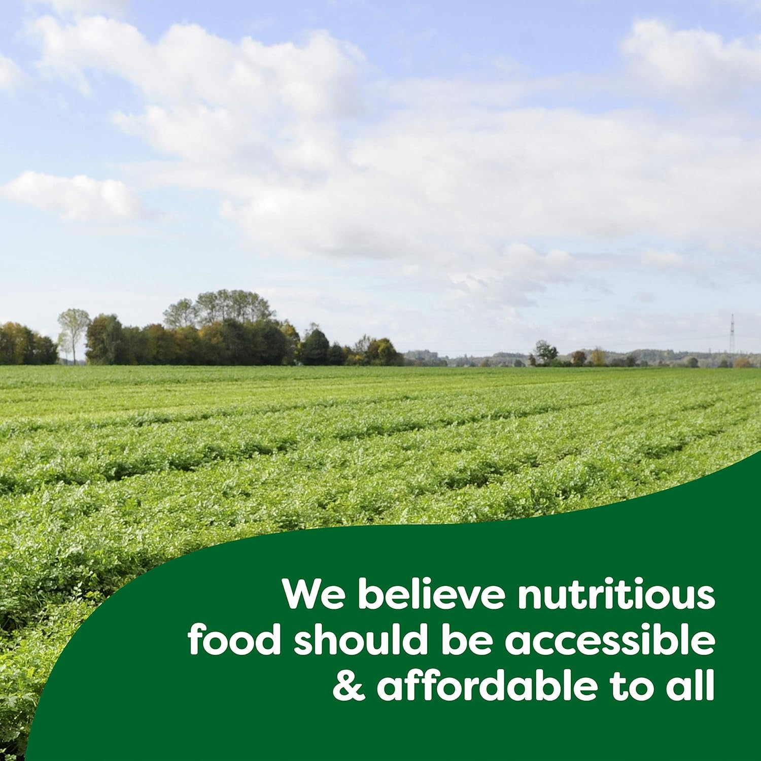 Knorr Sauce Mix Pasta Sauce For Simple Meals and Sides Pesto No Artificial Flavors, No Added MSG 0.5 oz, Pack of 2412