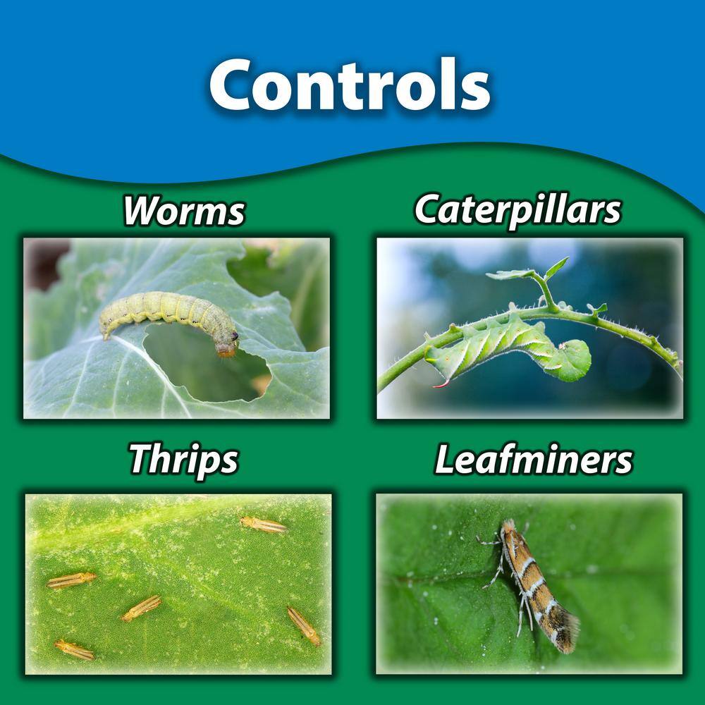 Monterey LG6135 Garden Insect Spray with Spinosad2