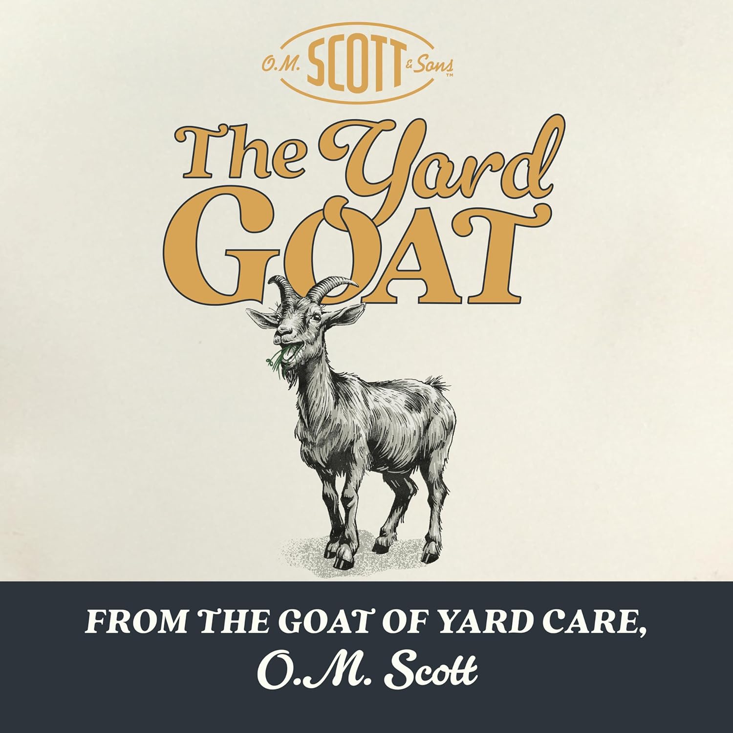 O.M. Scott and Sons Tall Fescue Blend Grass Seed, Fertilizer and Soil Improver, Naturally Crowds Out Weeds, Covers Up to 2,000 sq. ft., 8 lbs.1