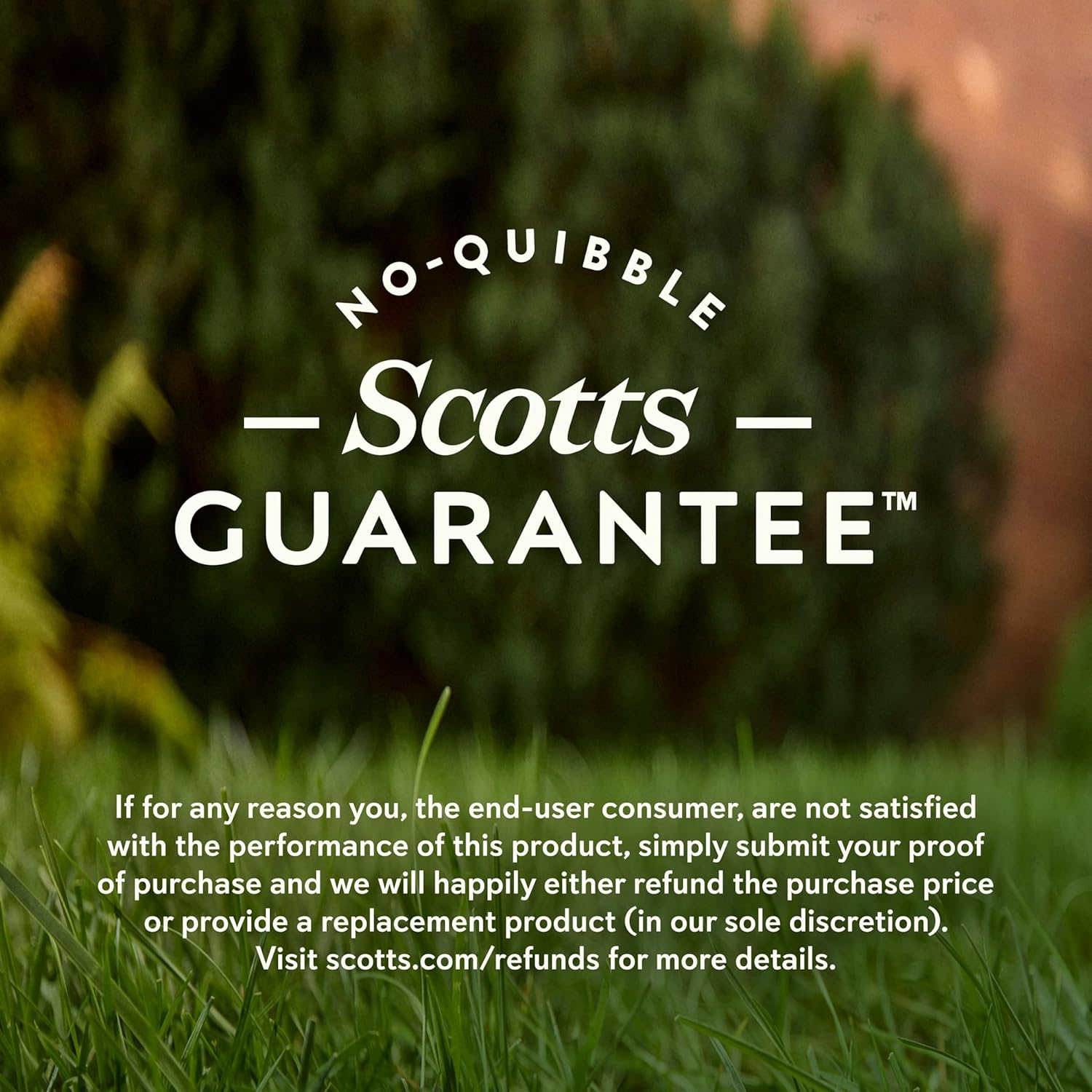 O.M. Scott and Sons Tall Fescue Blend Grass Seed, Fertilizer and Soil Improver, Naturally Crowds Out Weeds, Covers Up to 2,000 sq. ft., 8 lbs.15
