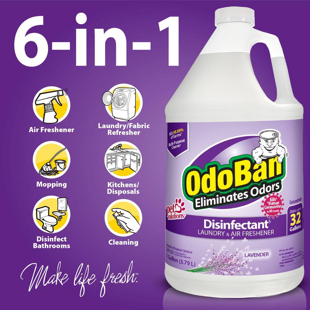OdoBan 1 Gal. Lavender Disinfectant and Odor Eliminator, Fabric Freshener, Multi-Purpose Cleaner Concentrate (4-Pack)0