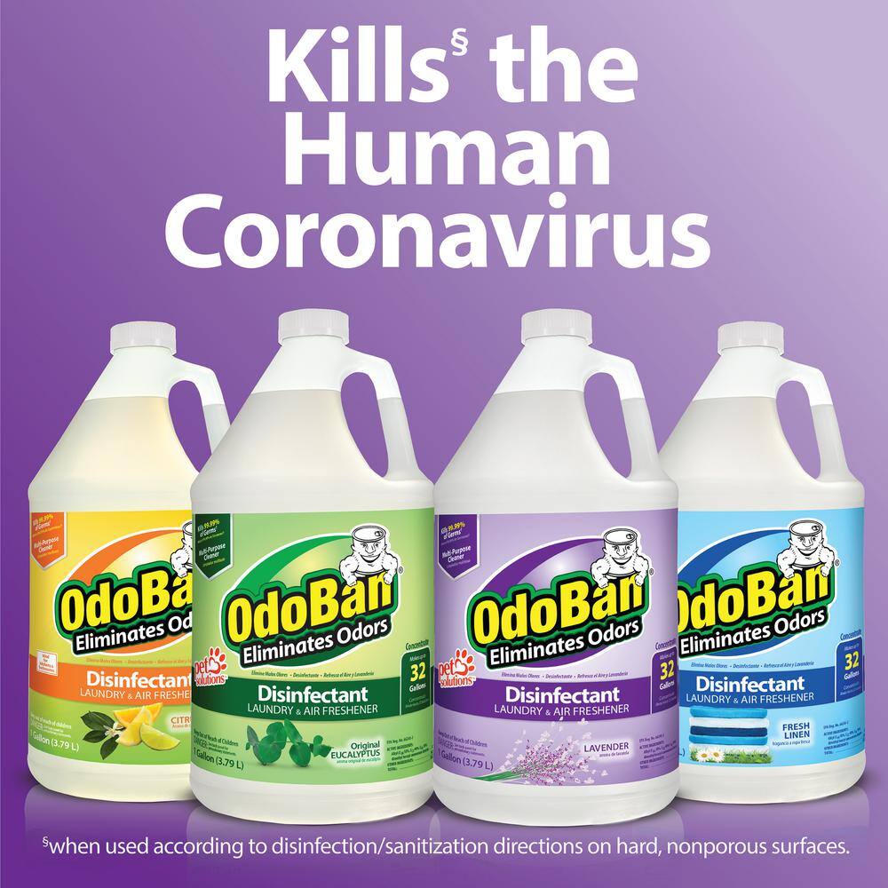 OdoBan 1 Gal. Lavender Disinfectant and Odor Eliminator, Fabric Freshener, Multi-Purpose Cleaner Concentrate (4-Pack)1