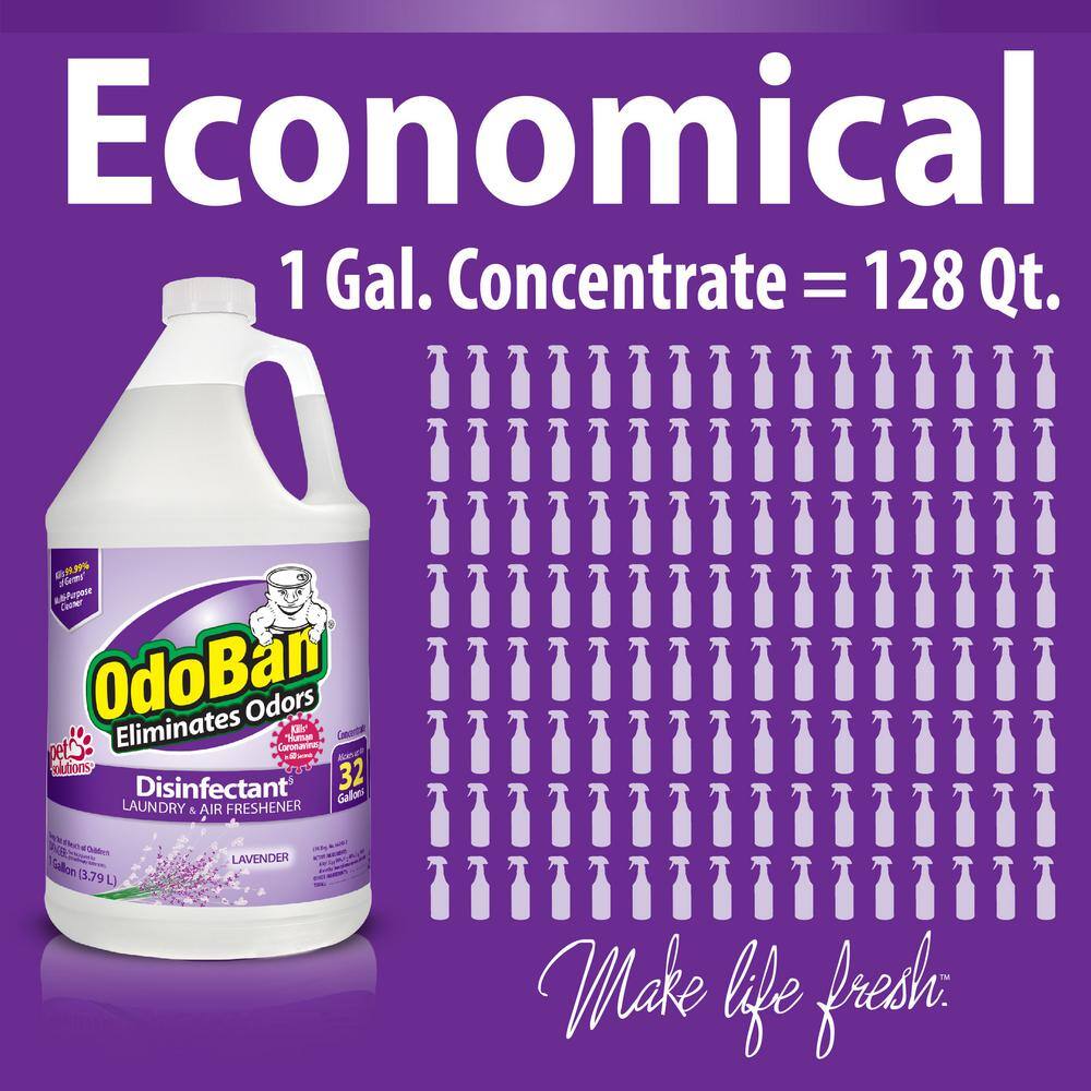 OdoBan 1 Gal. Lavender Disinfectant and Odor Eliminator, Fabric Freshener, Multi-Purpose Cleaner Concentrate (4-Pack)11