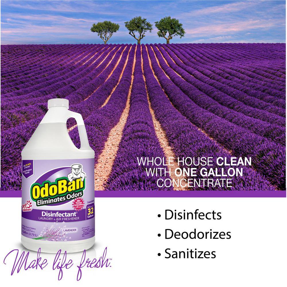 OdoBan 1 Gal. Lavender Disinfectant and Odor Eliminator, Fabric Freshener, Multi-Purpose Cleaner Concentrate (4-Pack)2