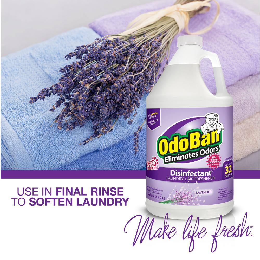 OdoBan 1 Gal. Lavender Disinfectant and Odor Eliminator, Fabric Freshener, Multi-Purpose Cleaner Concentrate (4-Pack)4