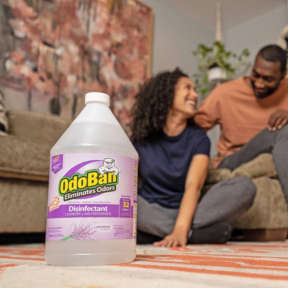 OdoBan 1 Gal. Lavender Disinfectant and Odor Eliminator, Fabric Freshener, Multi-Purpose Cleaner Concentrate (4-Pack)9