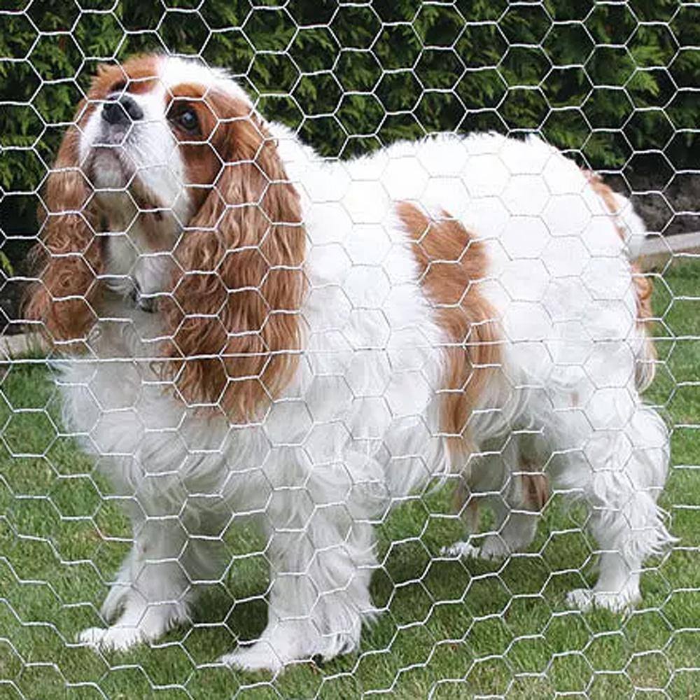 PEAK 3351 50 ft. L x 48 in. H Galvanized Steel Hexagonal Wire Netting with 1 in. x 1 in. Mesh Size Garden Fence6