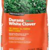 Pennington 100081674 Durana Clover 25 lb, Black Label