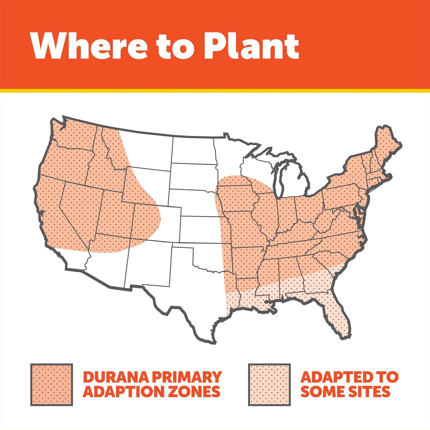 Pennington 100081674 Durana Clover 25 lb, Black Label7