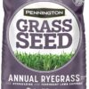 Pennington Annual Ryegrass Retail Bag to Overseed Warm Season Grasses, 25 lb