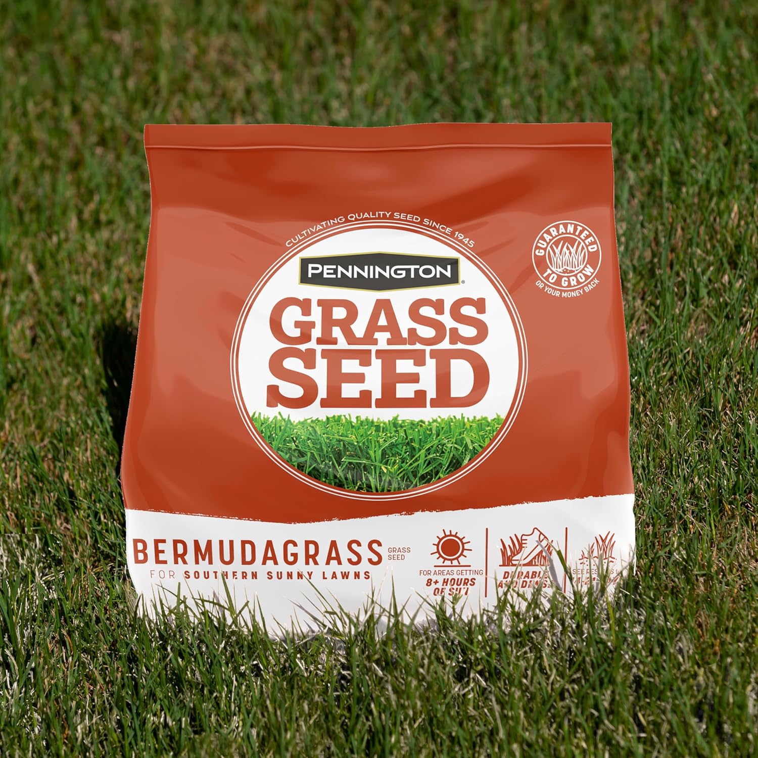 Pennington Bermudagrass Grass Seed 15 lb12