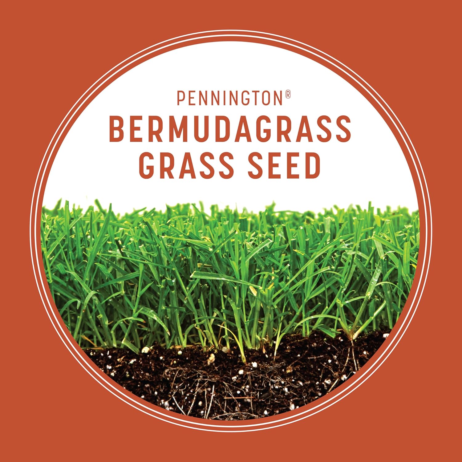 Pennington Bermudagrass Grass Seed 15 lb3