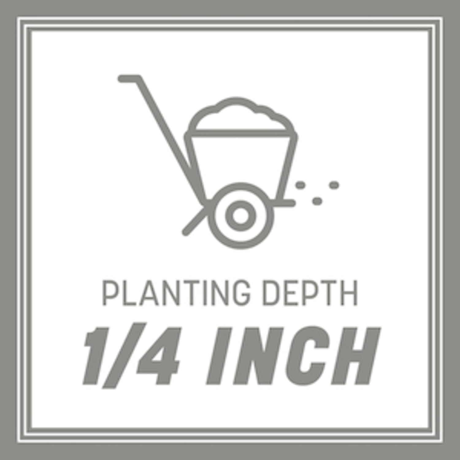 Pennington Contractors Grass Seed Mix Central 20 lb12