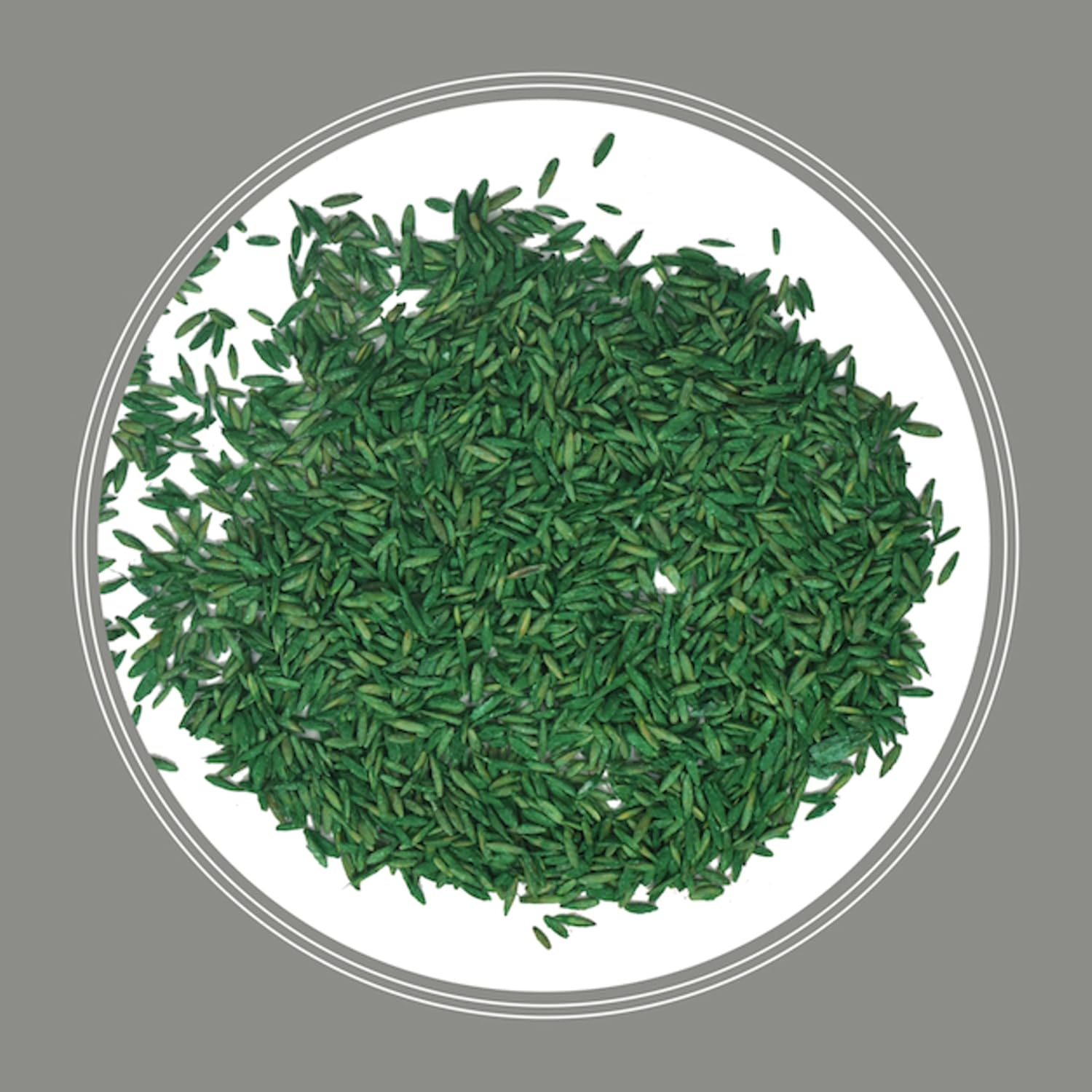 Pennington Contractors Grass Seed Mix Northern Mix 40 lb12