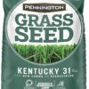 Pennington Kentucky 31 Tall Fescue Grass Seed 20 lb