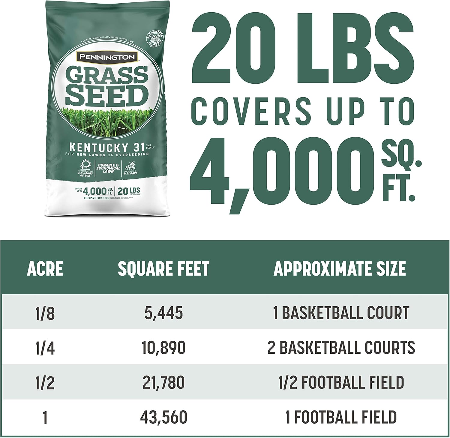 Pennington Kentucky 31 Tall Fescue Grass Seed 20 lb11